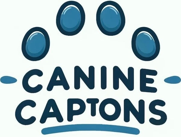 Canine Captions